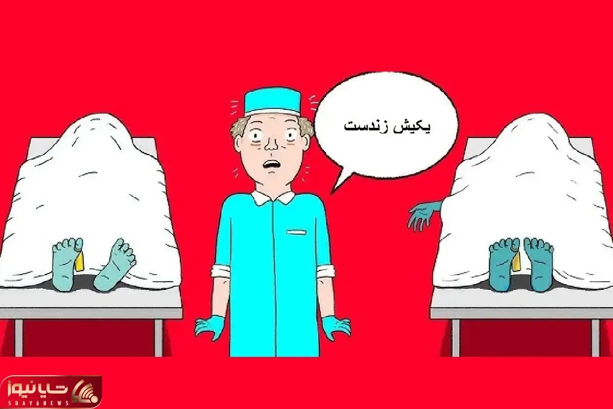 بازی فکری؛ پز و میدی و اسکی میری؟ پس بیا بگو کدوم از میت ها زندست
