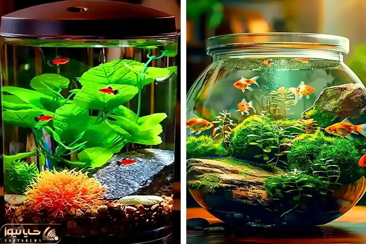 مینی آکواریوم رومیزی / واسه اینکه جوجو ماهی هارو داشته باشی ازینا بگیر خیلی دلبرن