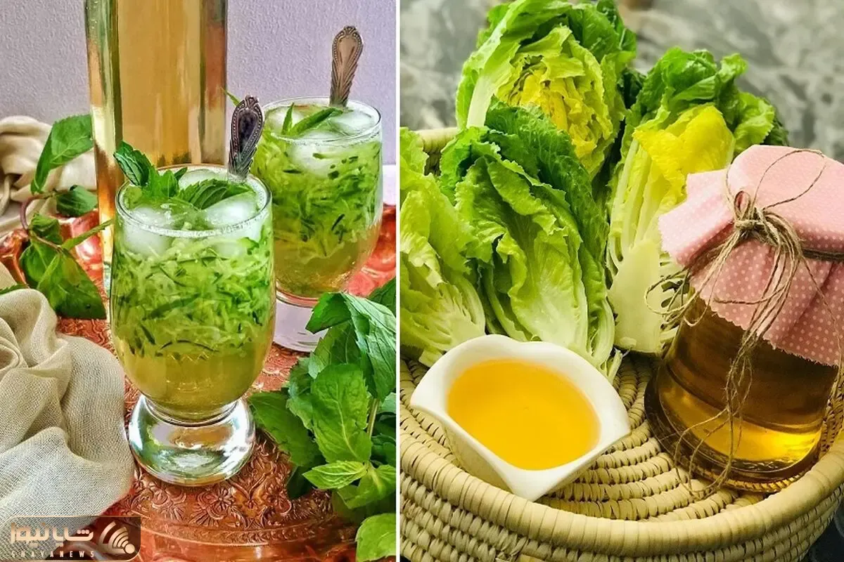 طرز تهیه شربت سکنجبین در خانه / روش اصیل به همراه نکات شکرک نزدن