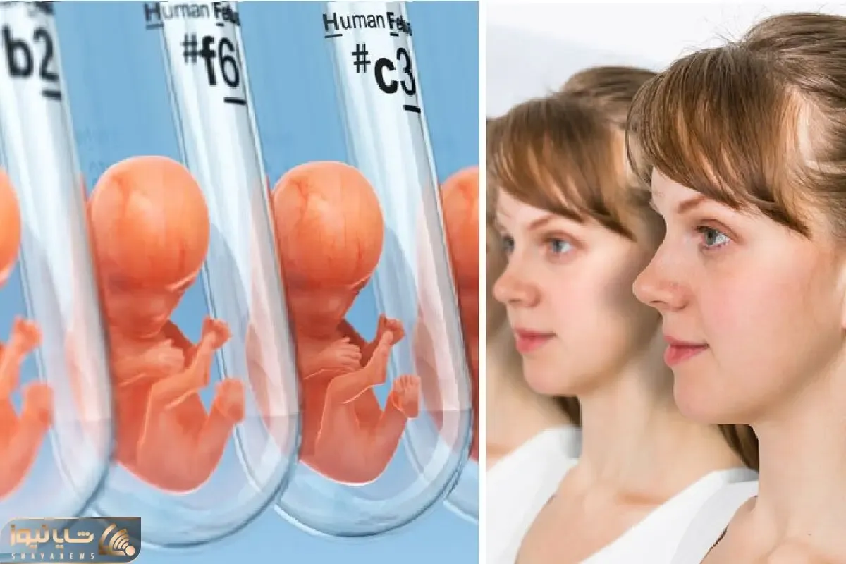کلون‌سازی، راز بارداری تک نفره! وقتی DNA جای رابطه را می‌گیرد!