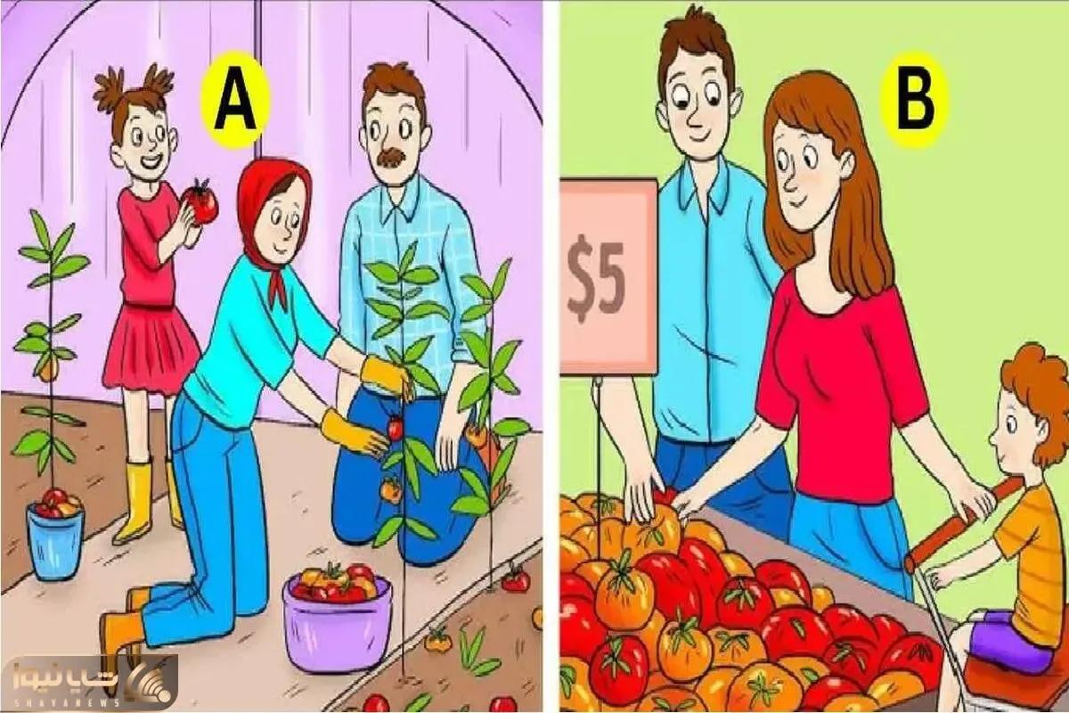 بازی فکری؛ اگه بند بند وجودت از هوش تشکیل شده بگو کدوم خانواده تو فقر و آمپاس