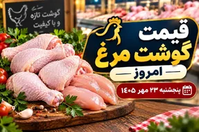 قیمت مرغ امروز پنجشنبه 23 مهر 1405 / فیله مرغ به چقدر رسید؟