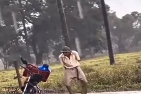 آواز شاد؛ پایکوبی مرد اسکلتی تو بارون و غوغا کردن سگ هاسکی با رقص پاش