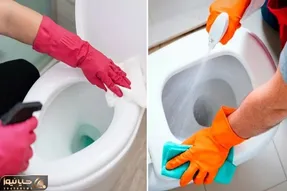 شستشوی توالت فرنگی شاید یکم سخت به نظر بیاد ولی با این ترفندا میشه دسته گل / بدو بیا