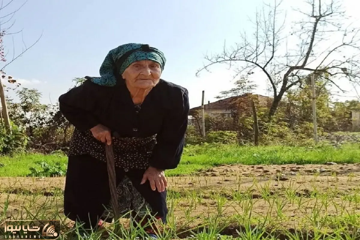 آواز جگرسوز؛ ننه گیلانی تو تلویزیون جوری سینه سوز خوند از غمش قلبت فریزر میشه یخه یخ