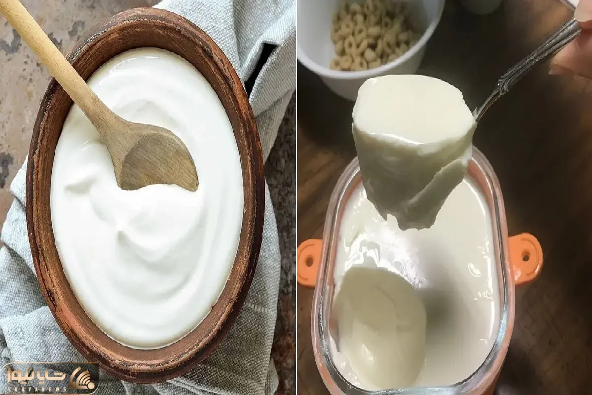 درست کردن ماست سفت و کش دار با شیر؛ با این دستور از ماستای شرکتی هم بهتر میشه