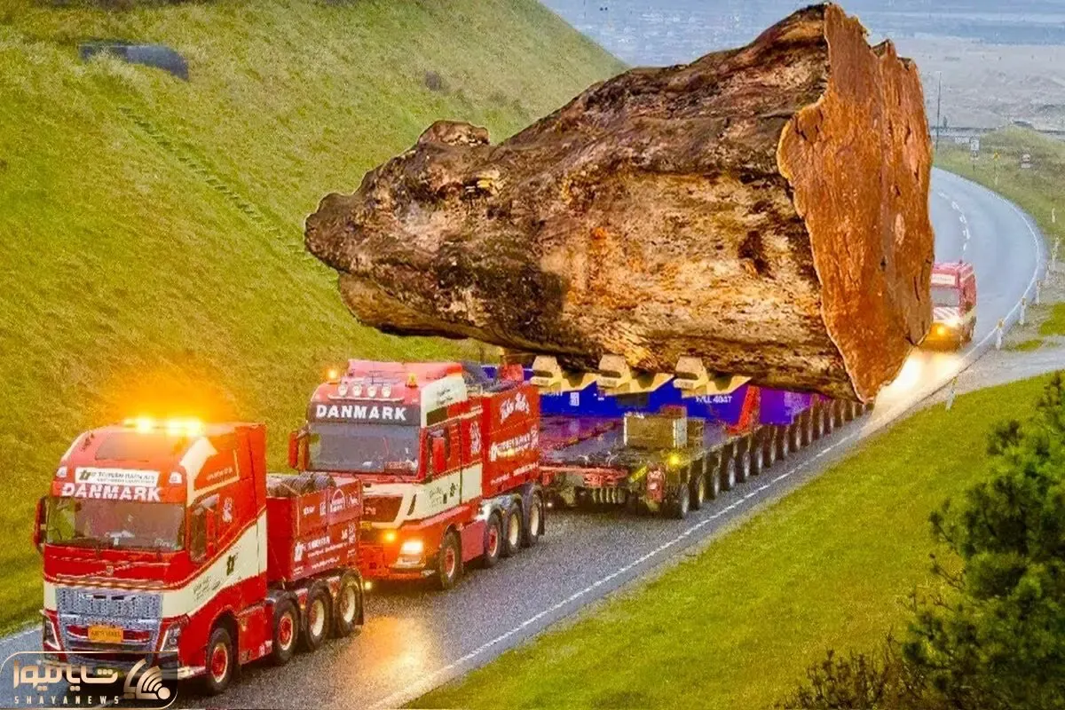 جا به جایی های جانکاه؛ تریلی ها چوب های حجیم رو از جاده صعب العبور کوهستانی درمیارن