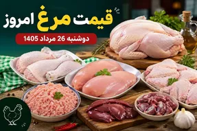 قیمت مرغ امروز دوشنبه 26 مرداد 1405 / مرغ کامل چقدر شد؟