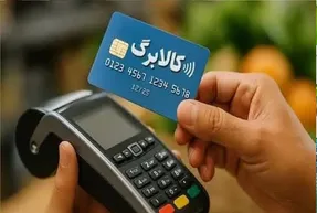 افزایش ۵۰۰ هزار تومانی کالابرگ در مهرماه؟ آخرین اعلام سخنگوی دولت