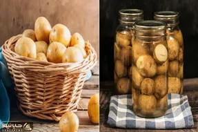 ترفند قدیمی ها جهت نگهداری از سیب زمینی به مدت طولانی در داخل خانه / بدون جوونه زدن