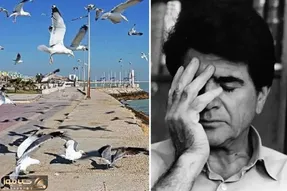 آواز بوشهری؛ محمدرضا شجریان تو حال هوای بوشهر یک نفس زد و هدر شد خوند
