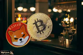 بیت کوین با شیبااینو چیکارکرد؟