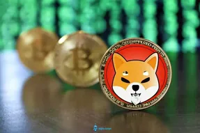 بااین انفجارچه اتفاقی برای شیباودوج کوین افتاد؟
