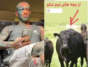 چرا امیر تتلو خود و نزدیکانش را 