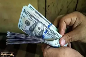 قیمت دلار توافقی امروز سه شنبه ۱۴ بهمن ۱۴۰۴