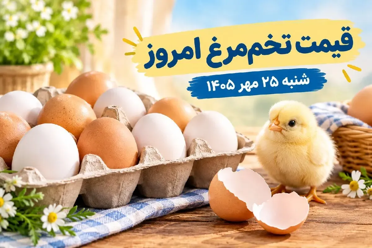 قیمت تخم‌ مرغ امروز شنبه 25 مهر 1405 + جدول