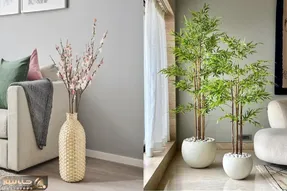 عاشق گل و گیاهی ولی به خاکش وسواس داری؟/ گیاهان آبی بیار تو خونت که خاکم نمیخواد