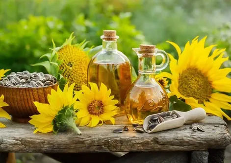 آیا روغن آفتابگردان برای سلامتی مفید است؟