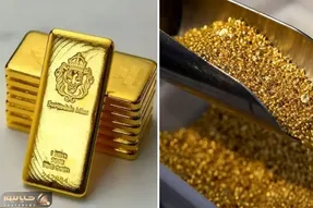 طلا دیگر چهار نعل نمی تازد و شیب افزایش قیمت ملایم شد