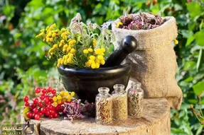 دمنوش برای هر نقطه ای از بدن؛ دمنوش های گیاهی درمانگر که هرگز نادیده نگیرید!