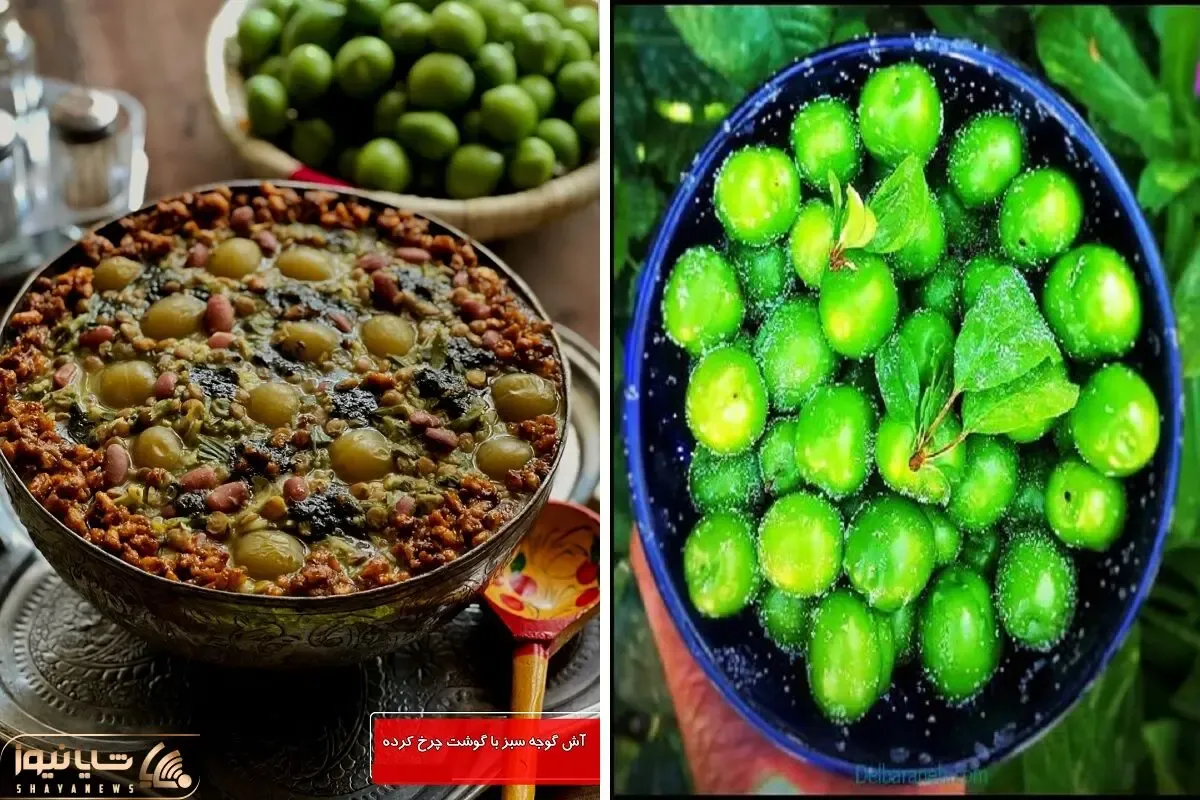 ترش خورا و عشق مزه های جدید، آش گوجه سبز رو از دست ندید که اگه دادید عمرتون برفناست!