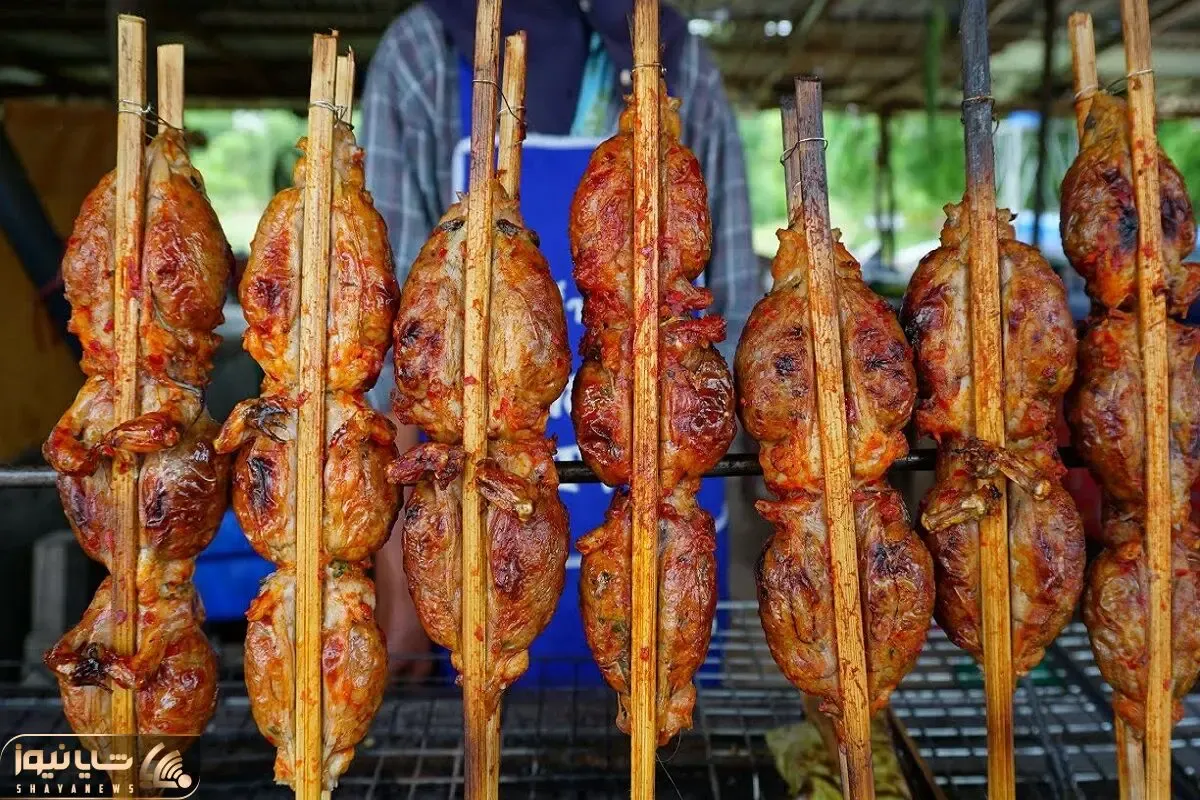 غذای چندش؛ قورباغه رو سلاخی کردن و تو شکمش رو پر میکنن دختره با گریه میخوره