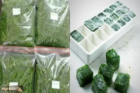 سیر تا پیاز سرخ و فریز کردن سبزی خورشت/ با این ترفند همیشه واسه خورشتت سبزی تازه داری
