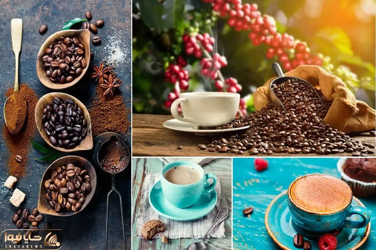 ترفندهایی برای انتخاب قهوه؛ اگه قهوه ای که میخری عین قیرسیاهه پس مسیررو اشتباه رفتی!