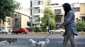 سگ گردانی؛خوب ، بد، زشت!