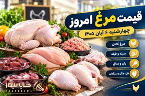 قیمت مرغ امروز چهارشنبه 6 آبان 1405 / بازار مرغ بعد از گرانی آرام گرفت؟