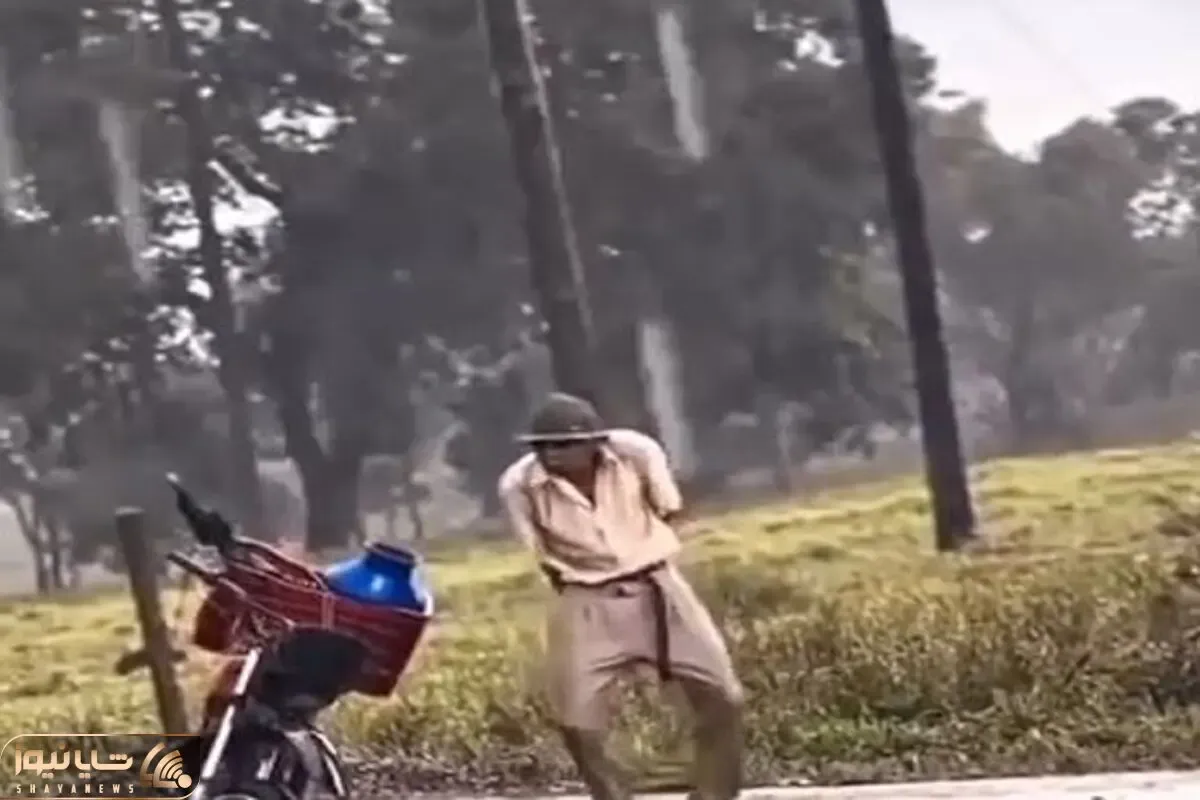 آواز شاد؛ پایکوبی مرد اسکلتی تو بارون و غوغا کردن سگ هاسکی با رقص پاش