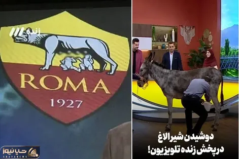 صداوسیما که پستان گاو در لوگو رم را سانسور کرد حالا در آنتن زنده از الاغ شیر می دوشد