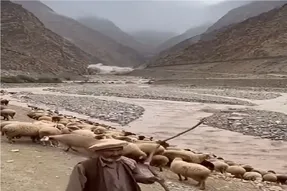 مستند کاوش؛ سیل اومد گوسفندا زودتر از چوپون فراریدن
