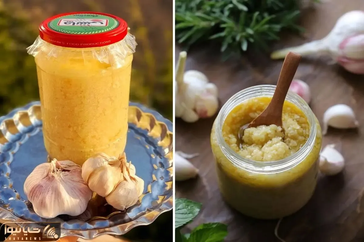 طرز تهیه حریره سیر با بهترین روش / ساده و سریع پوره سیر با ماندگاری بالا درست کنید