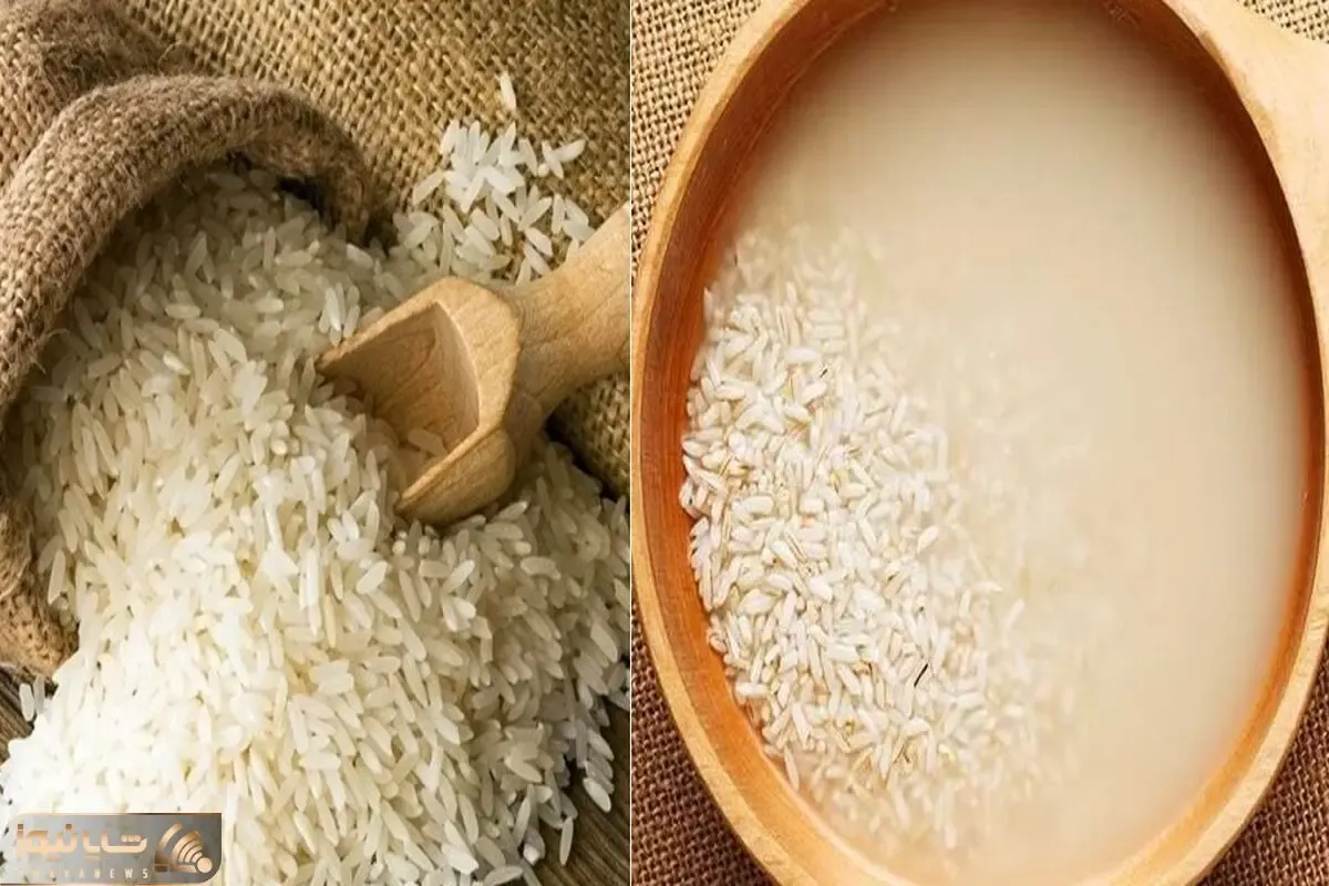 ترفندهای طلایی خیس کردن برنج؛ با رعایت این نکات عمرا عطر برنج بِپره