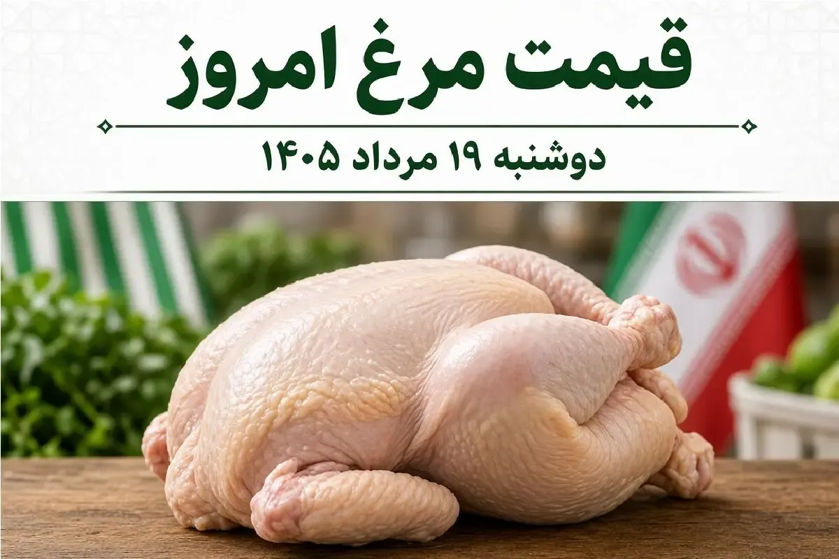 قیمت مرغ امروز دوشنبه 19 مرداد 1405 / مرغ گران میشود یا ارزان؟