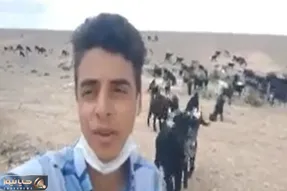 آواز احساسی؛پسر چوپان وسط دشت و صحرا یطوری آهنگ شجریان رو خوند که جاش رو استیج کنسرته