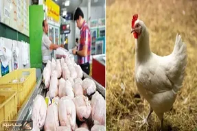 قیمت مرغ امروز شنبه ۱۲ اردیبهشت ۱۴۰۵ + جدول