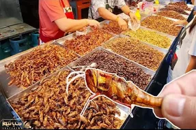 غذاهای چندش؛ لامصبا هرچی دستشون میاد سرخ میکنن ملت صف کشیدن برای حشرات فقط ملخ گریلی