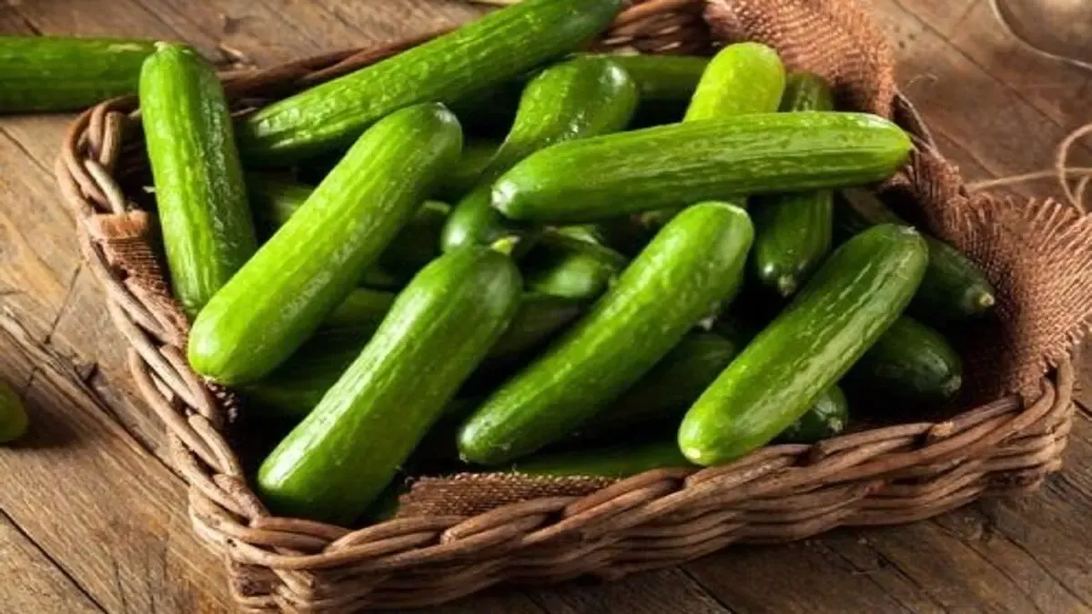 خودکشی یک مشهدی با خیار + عکس