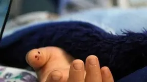 سقوط مرگبار دختر نوجوان؛ قتل یا حادثه؟!