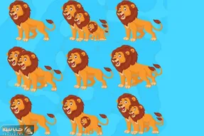 بازی فکری؛ تو تصویر چند تا شیر هست؟