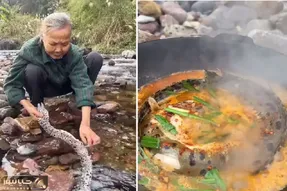 سوپ مار؛ مادربزرگ چینی قشنگ سر حوصله با مار پوست شده سوپ درست کرد تا قوت بگیره