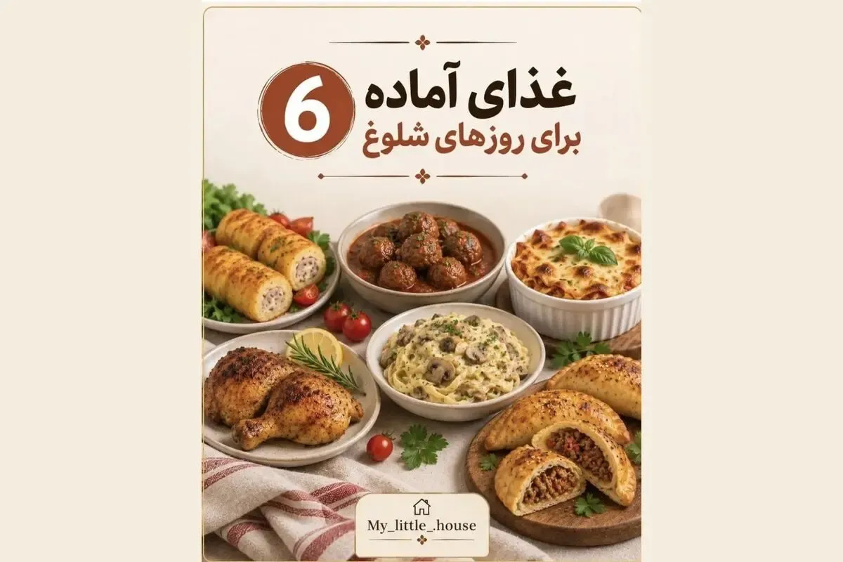 6 مدل غذای فریزری برای روز هایی که سرت شلوغه و تایم غذا درست کردن نداری