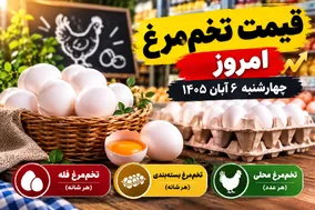 قیمت تخم مرغ امروز چهارشنبه 6 آبان 1405 / هر شانه تخم مرغ چند؟