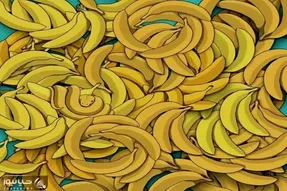 بازی فکری؛ دیدت باید اولترا باشه تا بتونی مار مموش رو بین موزها پیدا کنی
