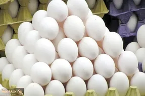 شوک قیمتی به بازار تخم‌مرغ رسید؛ قیمت هر شانه تخم‌مرغ ۴۲۰۰۰۰ تومان می‌شود؟