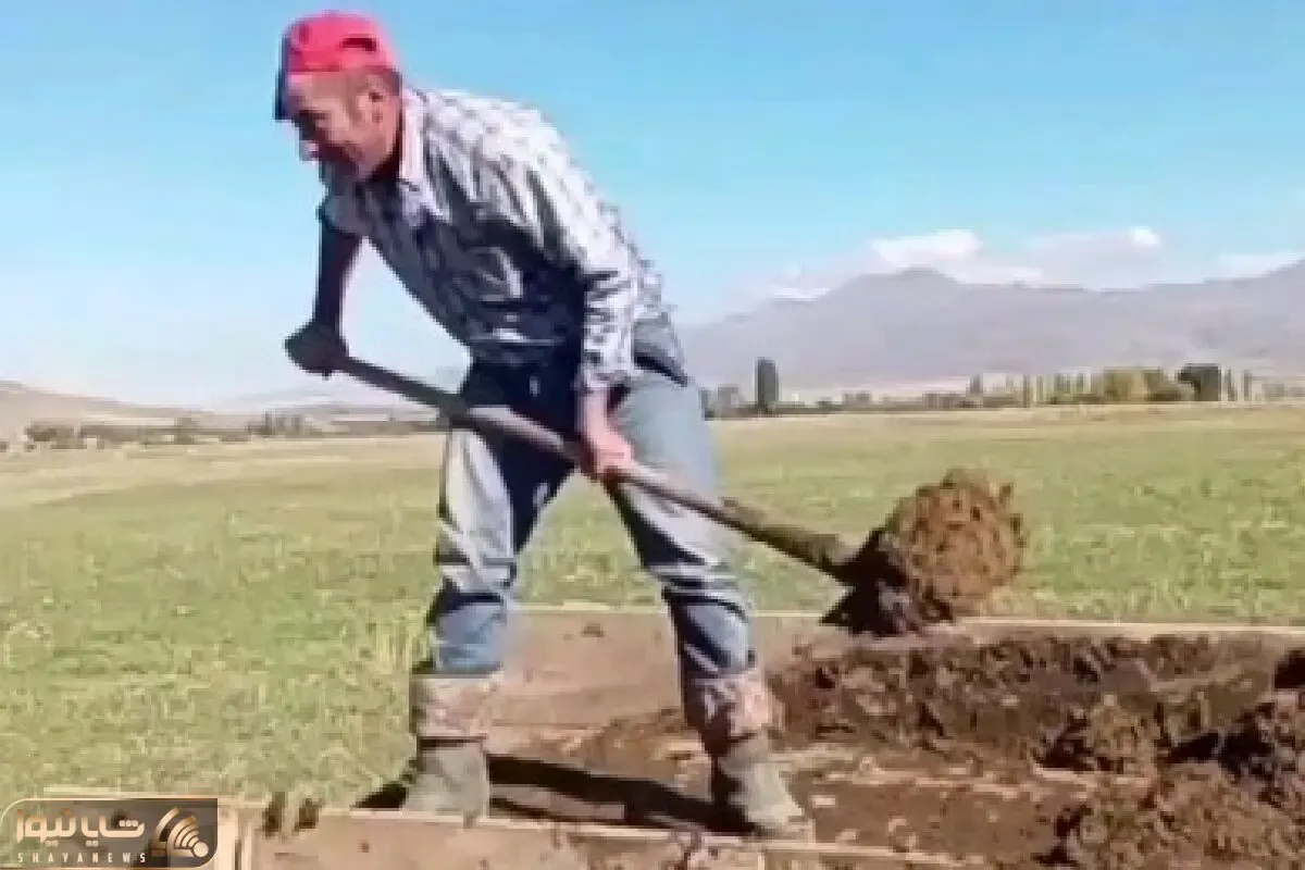 آواز شاد؛ این آقا رفته رو تراکتور حین لاشه خالی کردن با بیل میخونه برای زنش و رقص میره