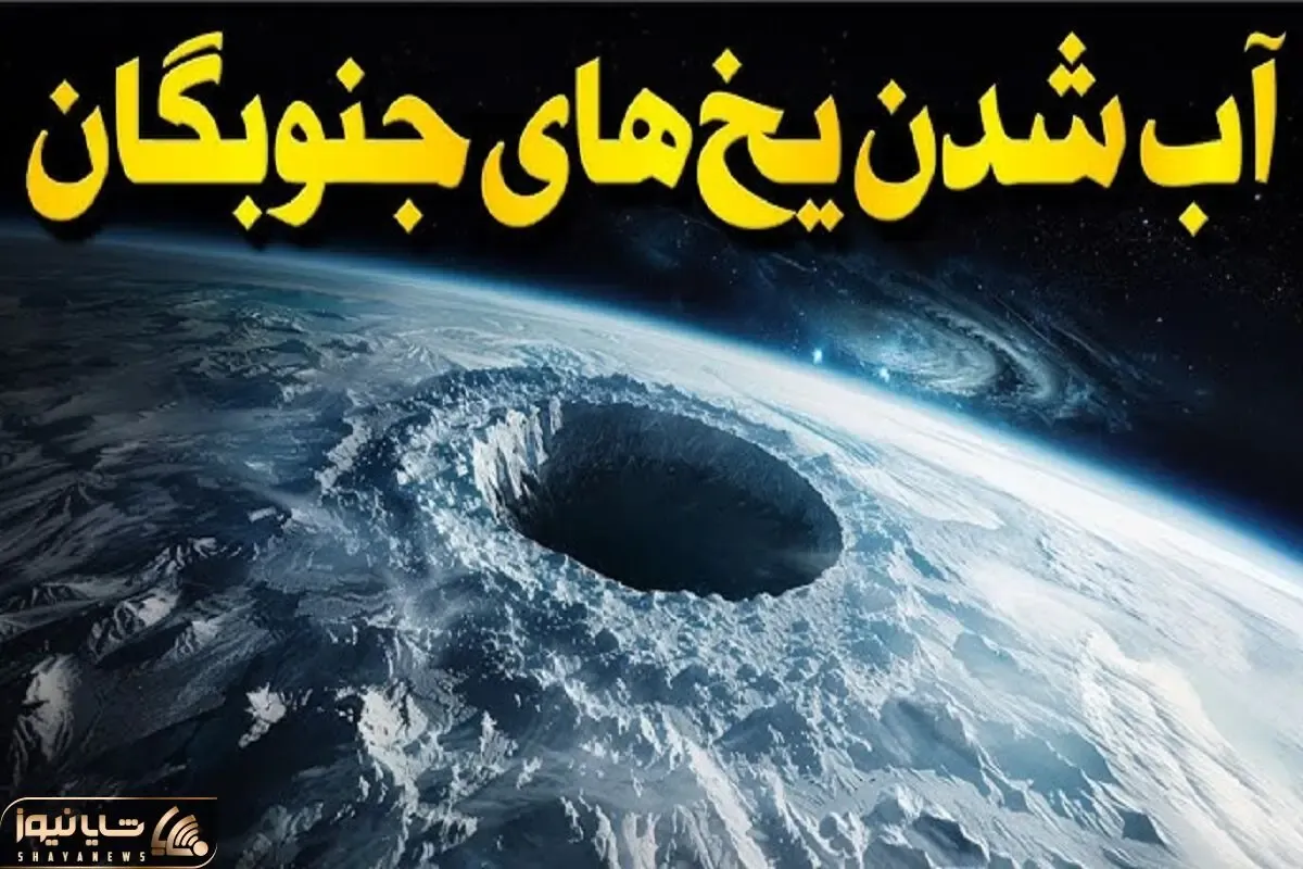 مستند کاوش / فاجعه‌ای در راه است؟! وقتی یخ‌های جنوب زمین ناپدید می‌شن...