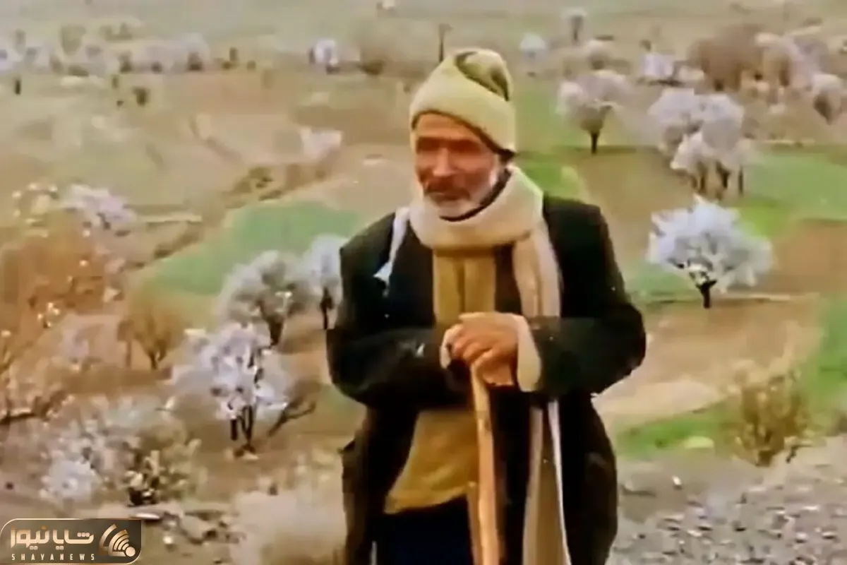 آواز محلی؛ صدای دلنشین و اهل دل پیرمرد چوپان که نمیشناسیش ولی دلت غنج میره واسش